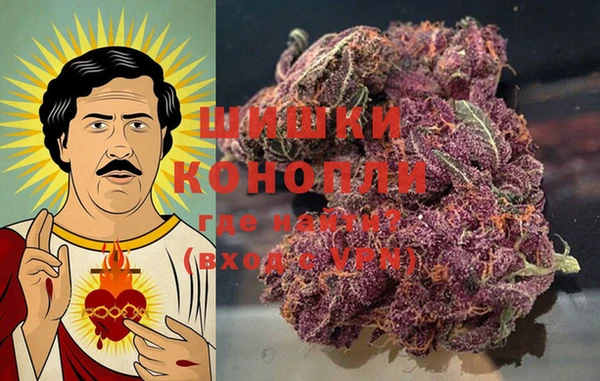 стафф Алзамай