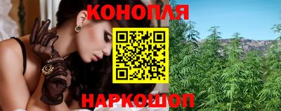 СК Ярославль