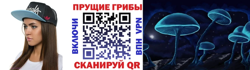 купить закладку  Батайск  Псилоцибиновые грибы Psilocybe 