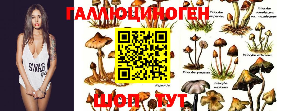 Батайск  Галлюциногенные грибы Cubensis  Вход с VPN  Галлюциногенные грибы мухоморы 