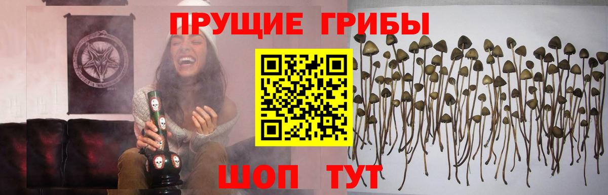 Псилоцибиновые грибы ЛСД Батайск
